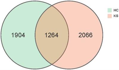 The urinary microbiota composition and functionality of calcium oxalate stone formers